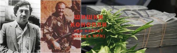 PSILOCYBIN Аркадак