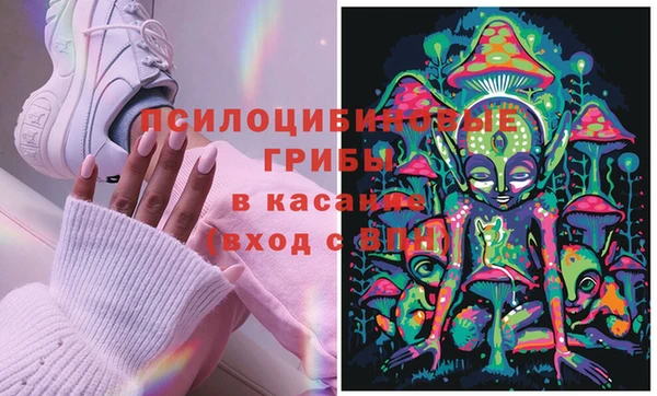 PSILOCYBIN Аркадак